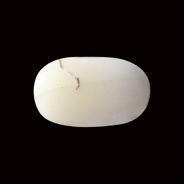 White Coral - 6.85 carats